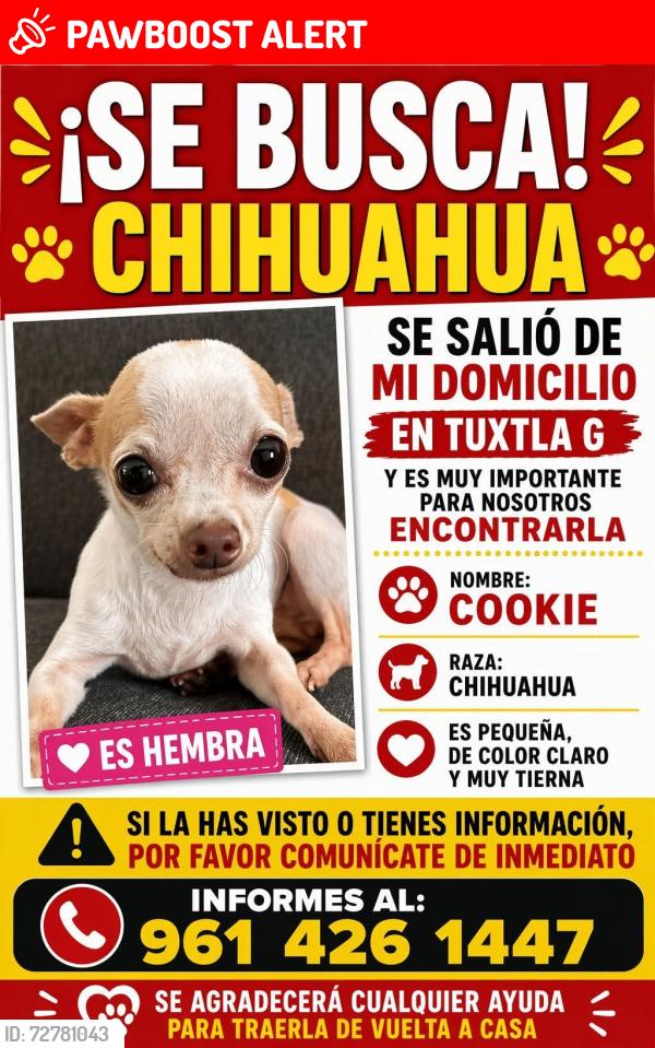 Lost Female Dog last seen Calle Ojo de Tigre, Tuxtla Gutiérrez, Chis. 29049