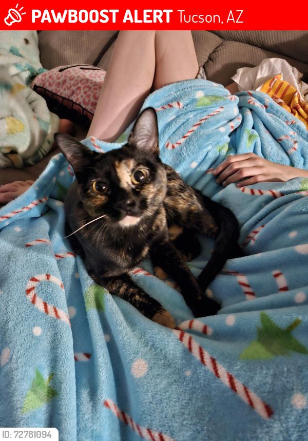 Lost Female Cat last seen Speedway and Camino Seco , Tucson, AZ 85710