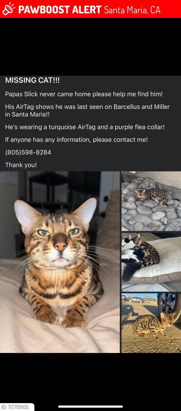 Lost Male Cat last seen Miller street , Santa Maria, CA 93454