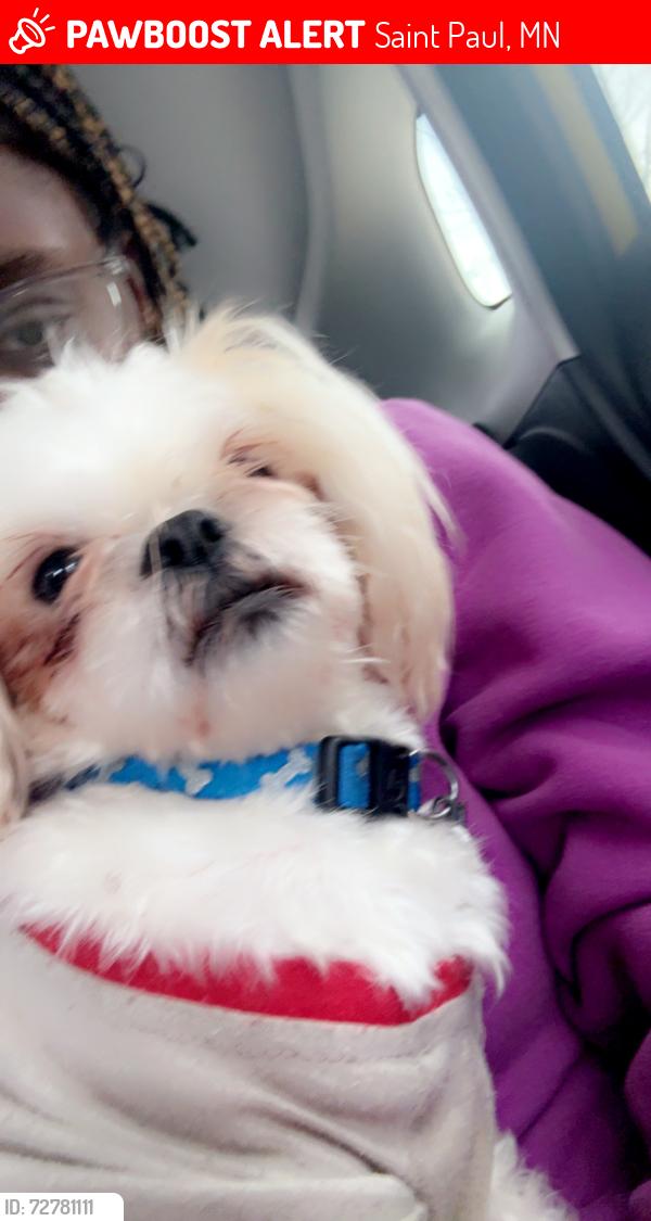 Lost Male Dog last seen Near Arlington Ave E, Saint Paul, MN 55117