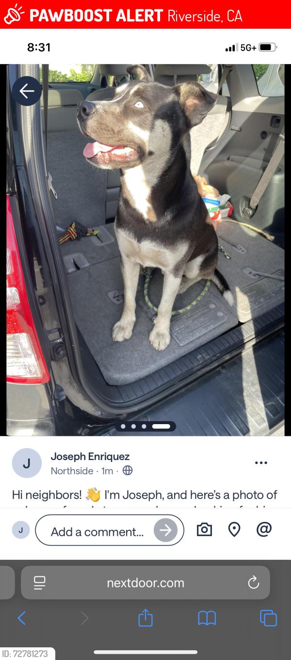Lost Male Dog last seen Industrial metal supply warehouse , Riverside, CA 92501