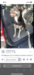 Lost Male Dog last seen Industrial metal supply warehouse , Riverside, CA 92501