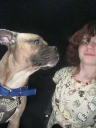 Lost Male Dog last seen Harwood, North Richland Hills, TX 76180