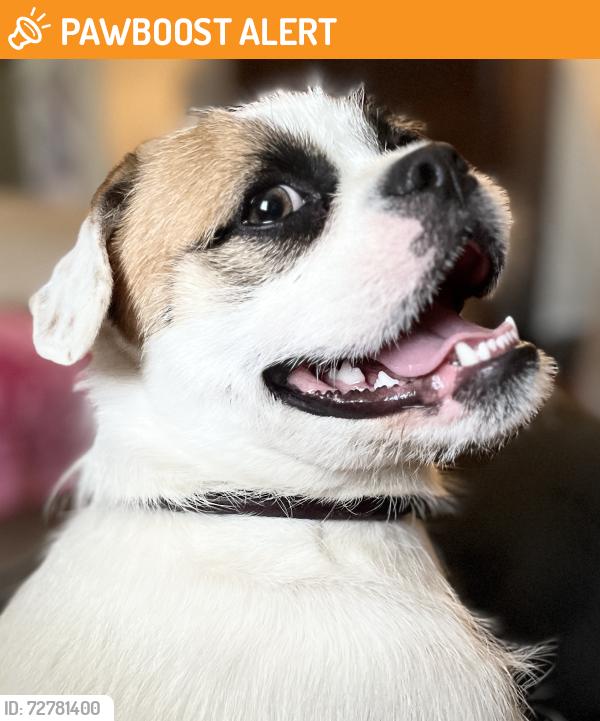 Found/Stray Male Dog last seen Los Robles Park, Hacienda Heights, CA 91745