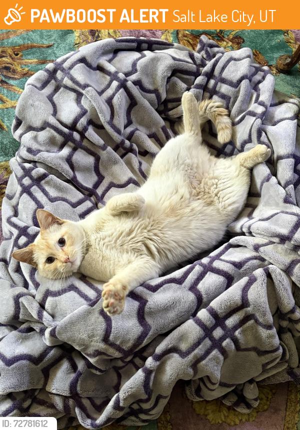 Found/Stray Male Cat last seen Near east and 1400 s , Salt Lake City, UT 84115