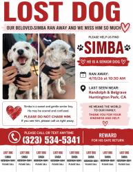 Lost Male Dog last seen Randolph & Bellgrave, Huntington Park, CA 90255