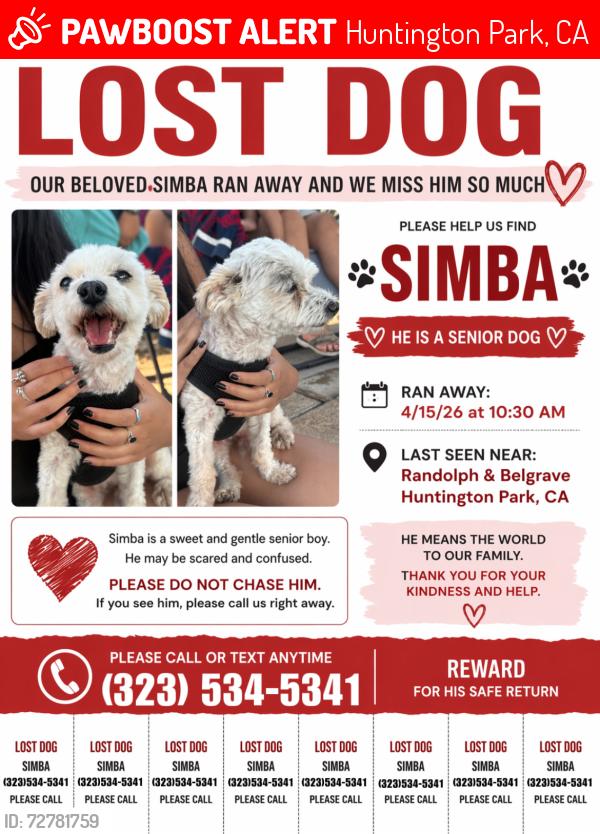 Lost Male Dog last seen Randolph & Bellgrave, Huntington Park, CA 90255