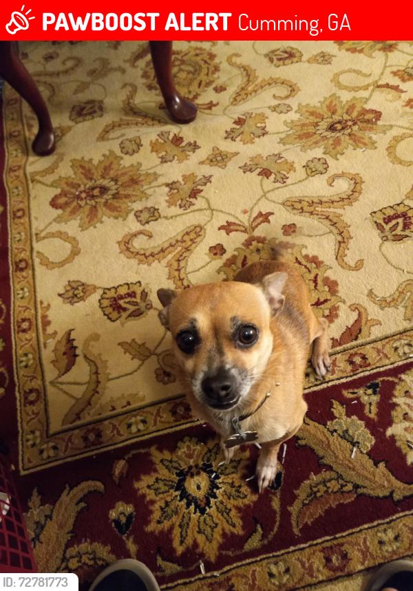 Lost Male Dog last seen Natures peace… shadyGrove Road, Cumming, GA 30041