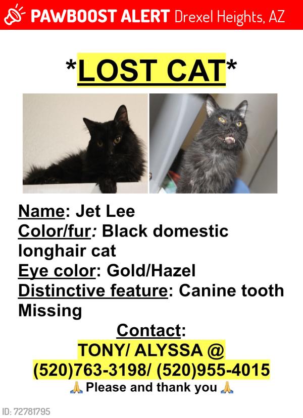 Lost Male Cat last seen Illionis and Fred, Drexel Heights, AZ 85746