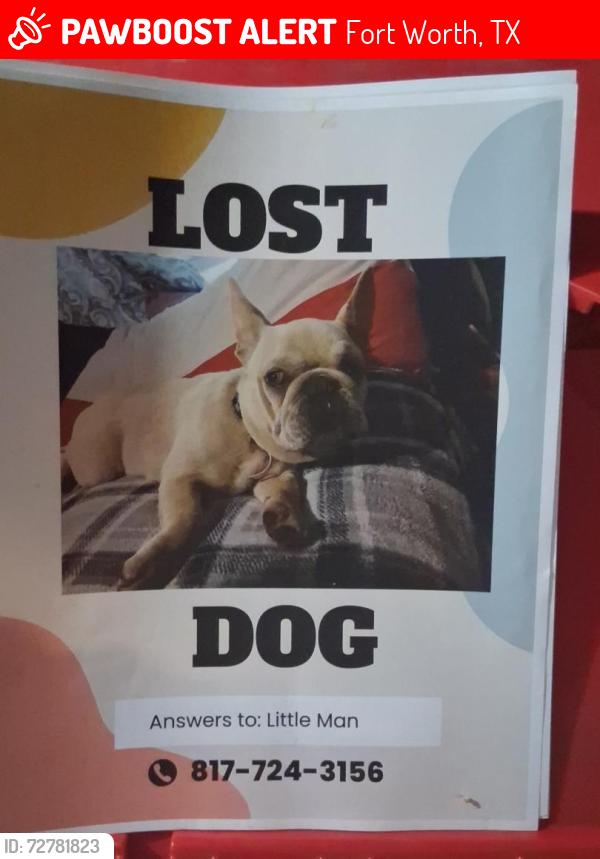 Lost Male Dog last seen Pierce and Village Creek, Fort Worth, TX 76119