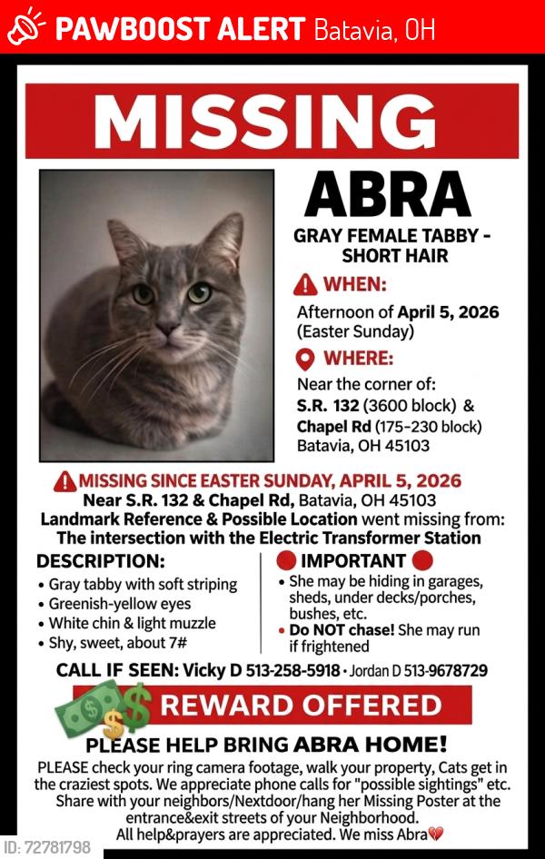 Lost Female Cat last seen Intersection of SR 132&Chapel Rd, by the Electric Transformer Station, Batavia, OH 45103