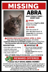 Lost Female Cat last seen Intersection of SR 132&Chapel Rd, by the Electric Transformer Station, Batavia, OH 45103