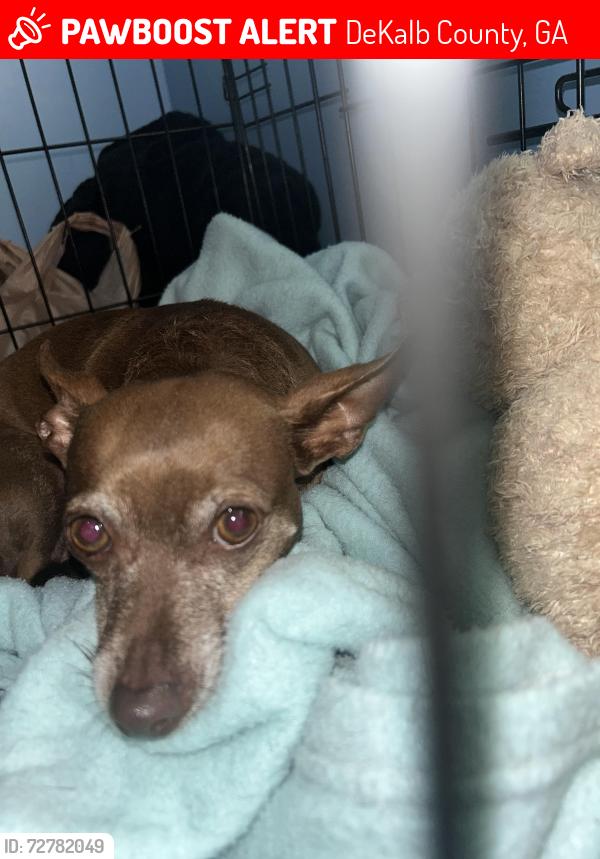 Lost Female Dog last seen Wesley chapel, DeKalb County, GA 30034