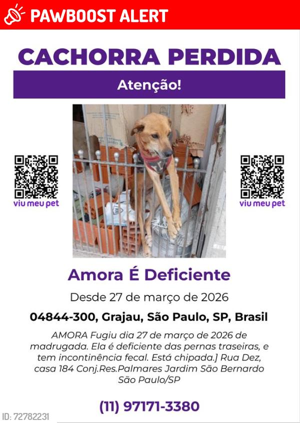 Lost Female Dog last seen Grajaú, Jardim São Bernardo, SP 04844-300