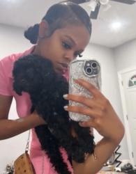 Lost Female Dog last seen Snyder , Philadelphia, PA 19145