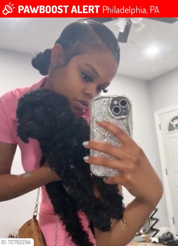 Lost Female Dog last seen Snyder , Philadelphia, PA 19145