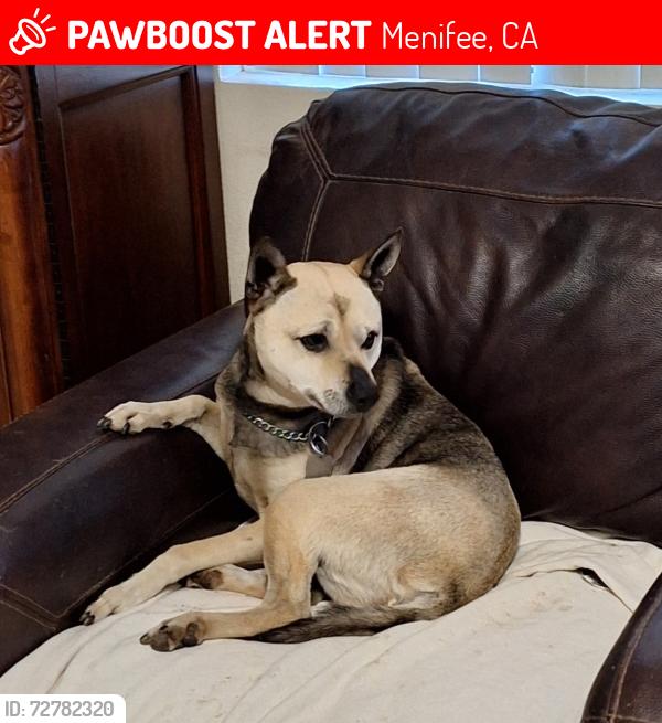 Lost Male Dog last seen Rockport , Menifee, CA 92584