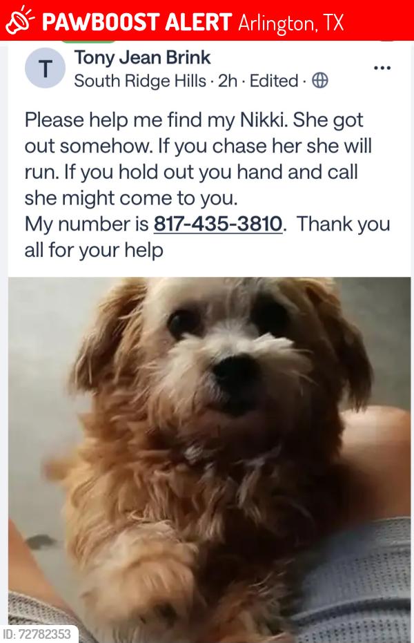 Lost Female Dog last seen Viking trl n price arrow, Arlington, TX 76001