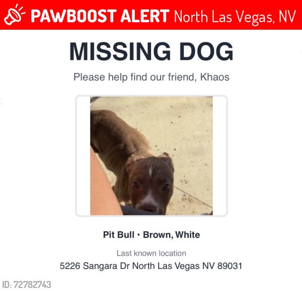 Lost Male Dog last seen Near Sangara drive , North Las Vegas, NV 89031