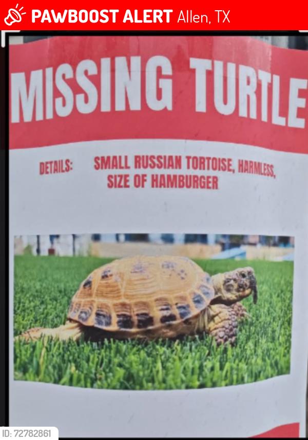 Lost Male Reptile last seen Stacy Rd & Alma, Allen, TX 75013
