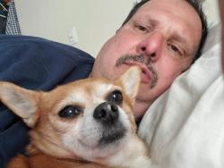 Lost Male Dog last seen horseblock rd And station rd , Medford, NY 11763