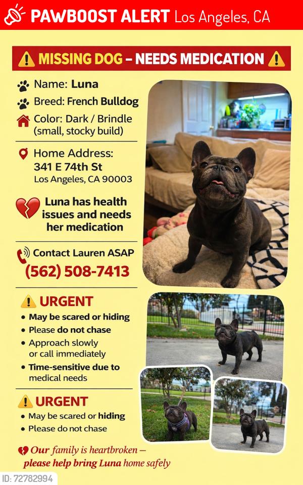 Lost Female Dog last seen Near e 74th street, Los Angeles, Los Angeles, CA 90003