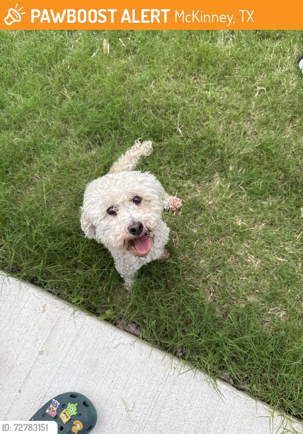 Found/Stray Unknown Dog last seen In our backyard, McKinney, TX 75071