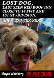 Lost Female Dog last seen Red Roof Inn, Taco Bell, Palmdale, CA 93551