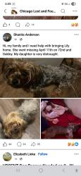Lost Female Dog last seen Corner of 72nd and Oakley, Chicago, IL 60636