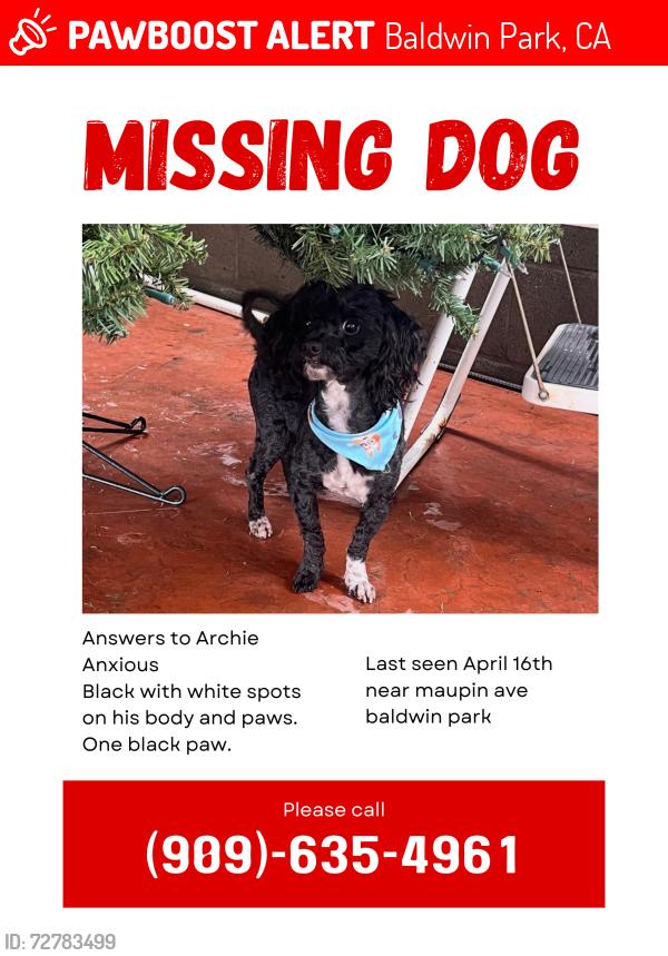 Lost Male Dog last seen Maupin ave around 6pm, Baldwin Park, CA 91706