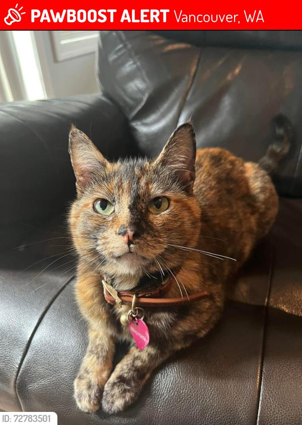 Lost Female Cat last seen mill plain, Vancouver, WA 98664