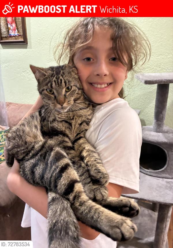 Lost Male Cat last seen 143rd and kellogg, Wichita, KS 67230