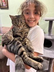 Lost Male Cat last seen 143rd and kellogg, Wichita, KS 67230
