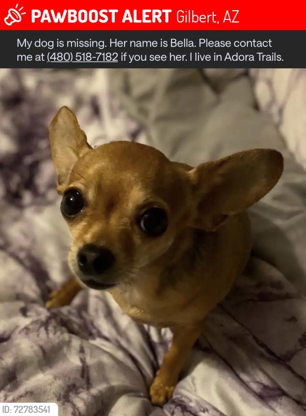 Lost Female Dog last seen Riggs and Higley, Gilbert, AZ 85298
