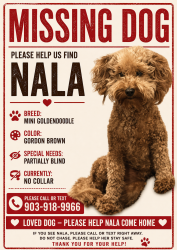 Lost Female Dog last seen Cotton Patch, Longview, TX 75601