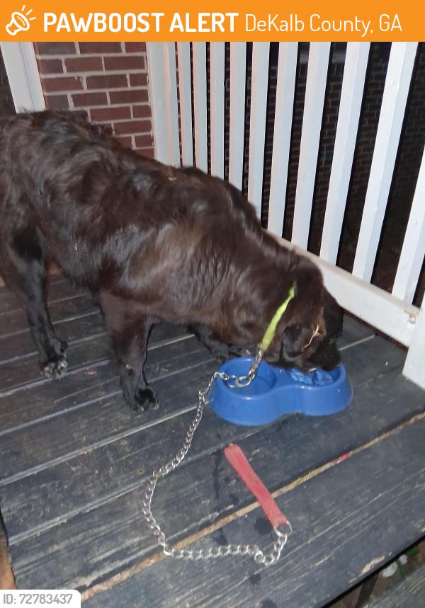 Found/Stray Male Dog last seen Pattillo Way and Shadow Rock Dr., DeKalb County, GA 30058