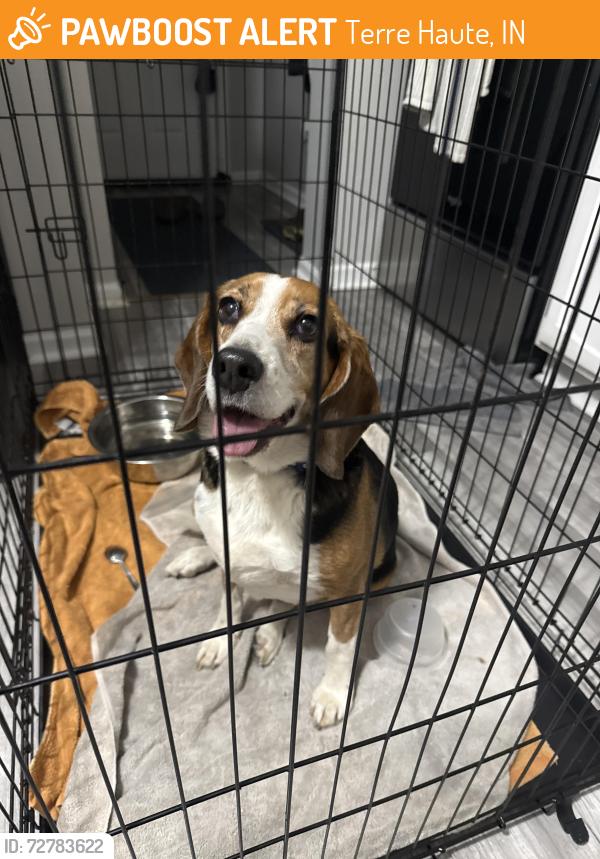 Found/Stray Male Dog last seen Kroger on Wabash, Terre Haute, IN 47807