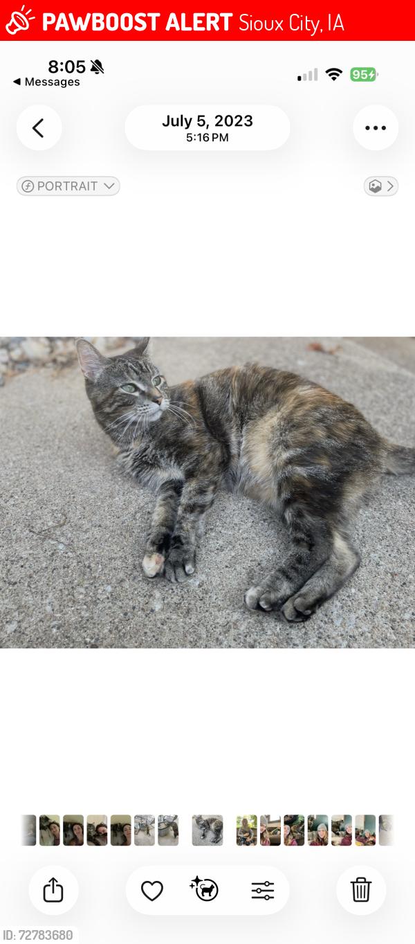 Lost Female Cat last seen Dearborn Blvd/Concordia circle , Sioux City, IA 51104