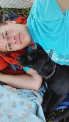 Lost Male Dog last seen Walmart , Hilo, HI 96720