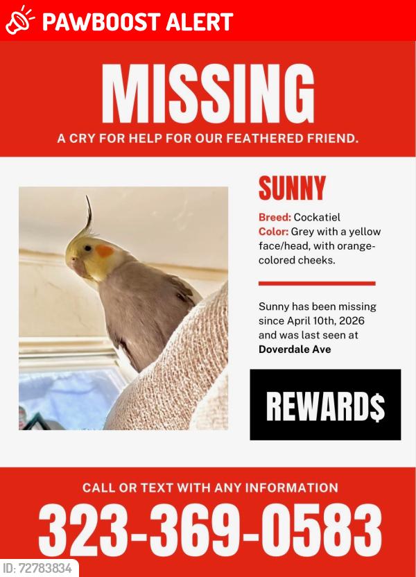 Lost Male Bird last seen Hurley, South San Jose Hills, CA 91744