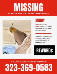Lost Male Bird last seen Hurley, South San Jose Hills, CA 91744