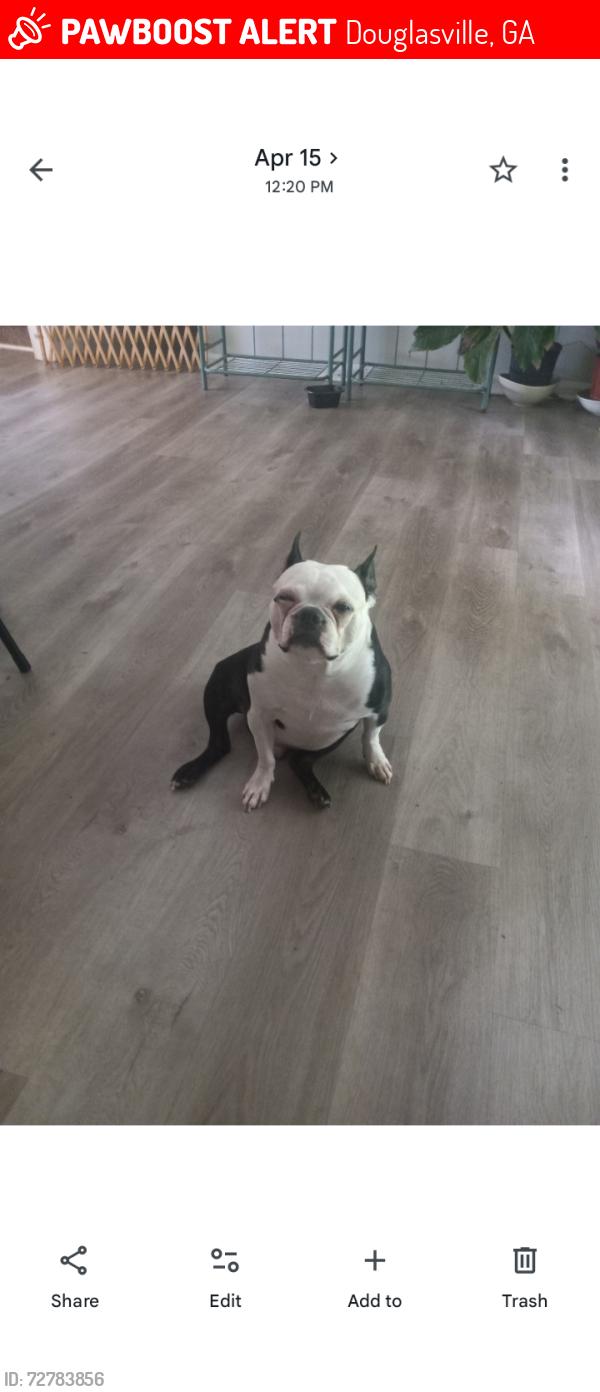 Lost Male Dog last seen Hwy 5 or Bright Star Road, Douglasville, GA 30135