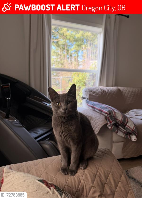 Lost Female Cat last seen Holcomb Rd, Oregon City, OR 97045