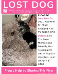 Lost Male Dog last seen TCC tarrant county North east campus , North Richland Hills, TX 76180