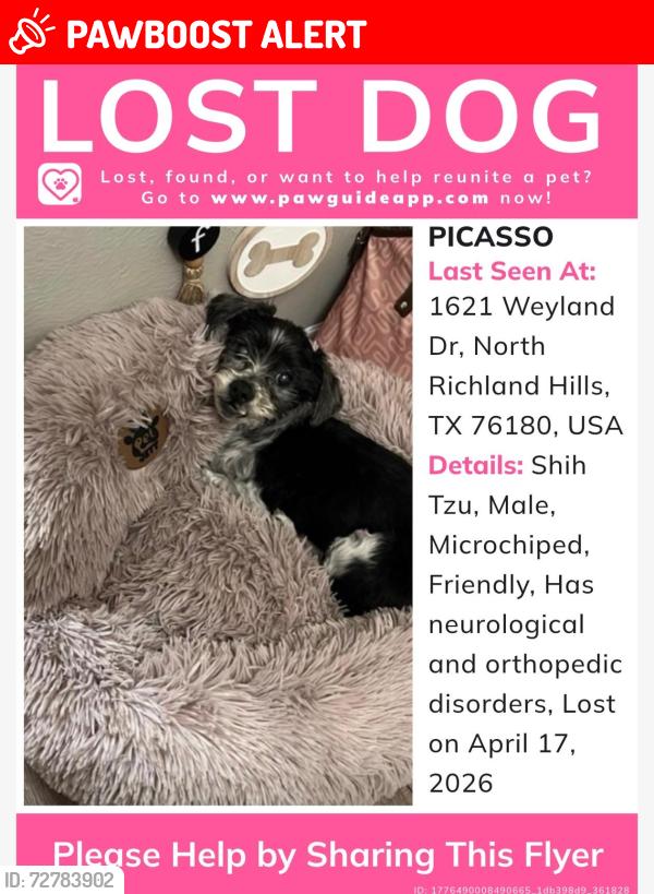 Lost Male Dog last seen TCC tarrant county North east campus , North Richland Hills, TX 76180