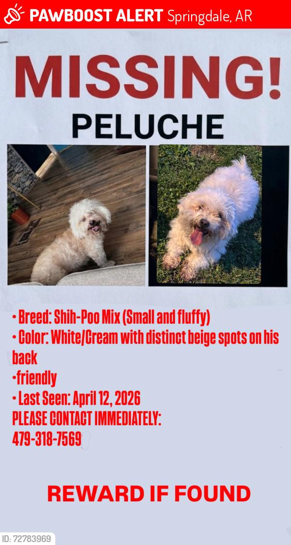 Lost Male Dog last seen Springdale , Springdale, AR 72764