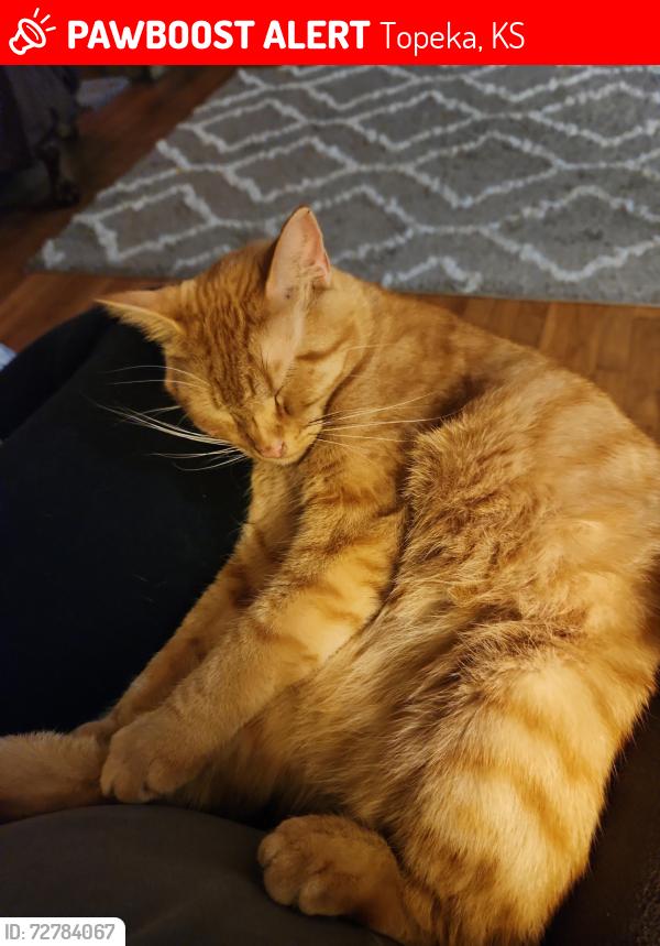 Lost Male Cat last seen 33rd & Fremont , Topeka, KS 66605