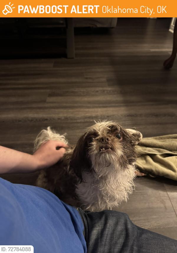 Found/Stray Male Dog last seen Near nw 42nd street, Oklahoma City, OK 73112
