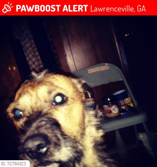 Lost Male Dog last seen Near Jockey Ct, Lawrenceville, GA 30043