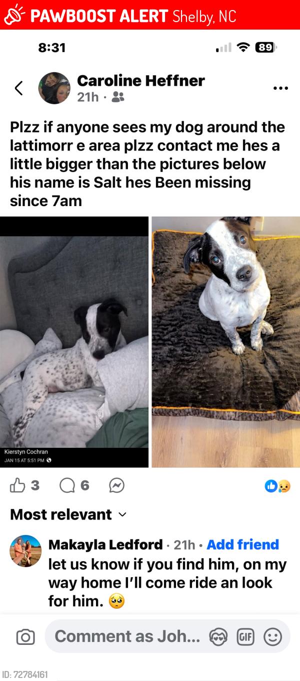 Lost Male Dog last seen New hse rd , Shelby, NC 28150